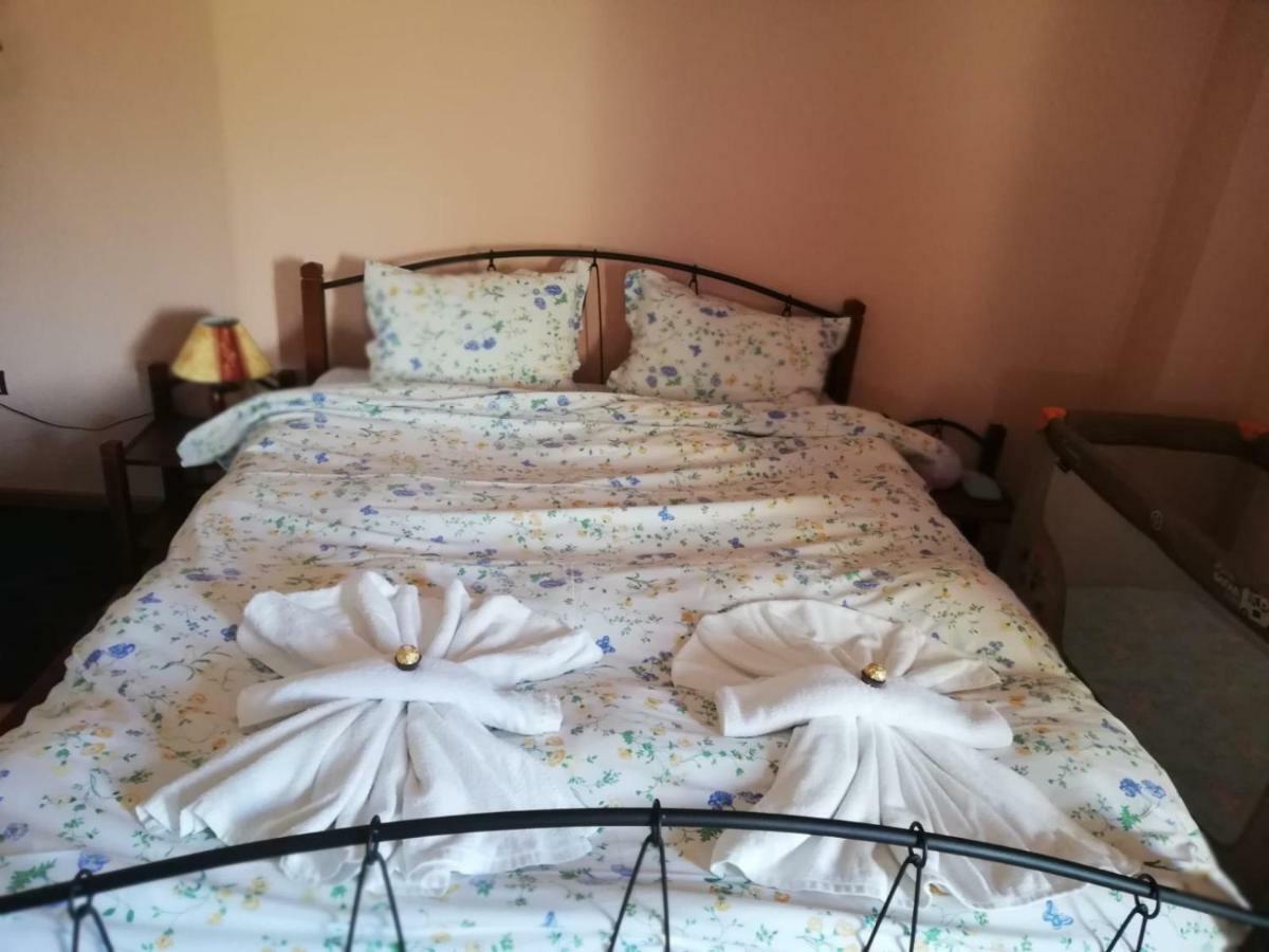 Ambrozia Spa And Relax Family House バチコヴォ エクステリア 写真